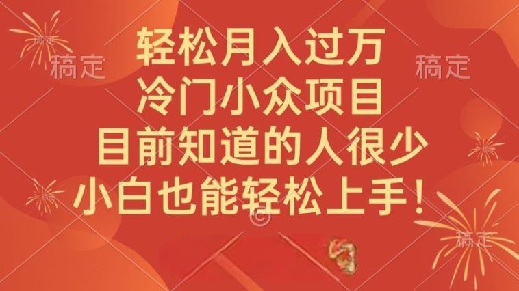 轻松月入过万，冷门小众项目，目前知道的人很少，小白也能轻松上手！-风向旗