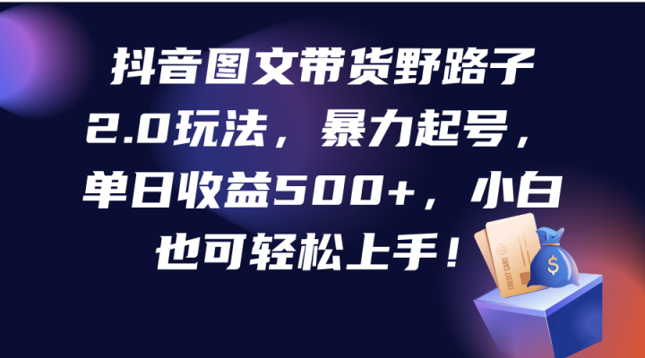 抖音图文带货野路子2.0玩法，暴力起号，单日收益500+，小白也可轻松上手！-风向旗