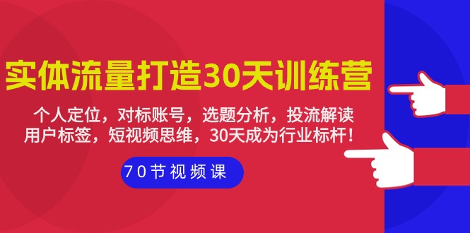 实体-流量打造-30天训练营：个人定位，对标账号，选题分析，投流解读-70节-风向旗