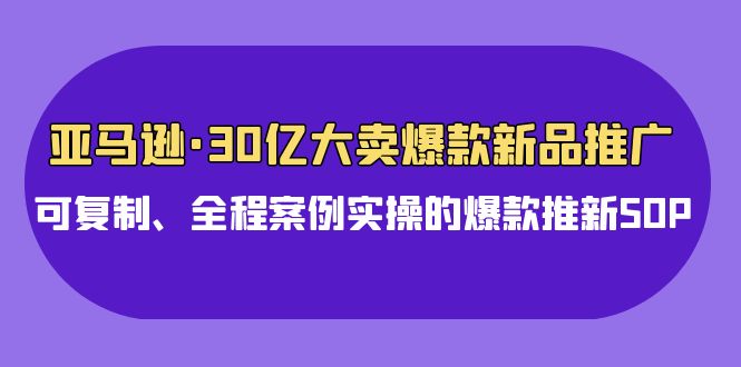 亚马逊30亿·大卖爆款新品推广，可复制、全程案例实操的爆款推新SOP-风向旗