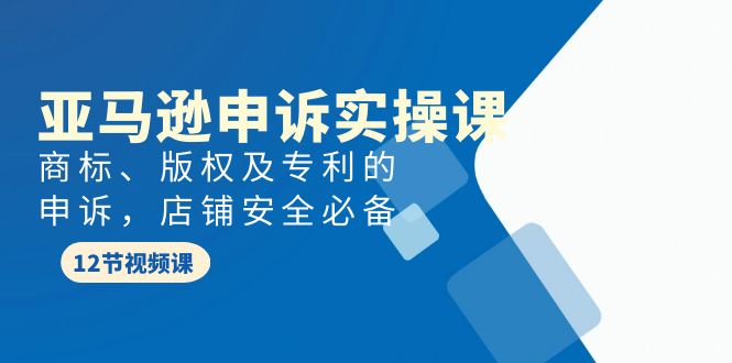 亚马逊-申诉实战课，商标、版权及专利的申诉，店铺安全必备-风向旗