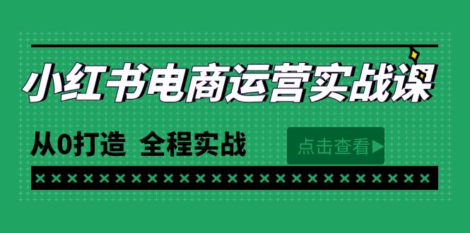 最新小红书·电商运营实战课，从0打造 全程实战（65节视频课）-风向旗