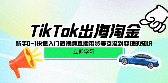 TikTok-出海淘金，新手0-1快速入门短视频直播带货等引流到变现的知识-风向旗