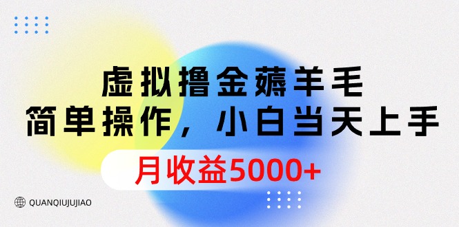 虚拟撸金薅羊毛，简单操作，小白当天上手，月收益5000+-风向旗