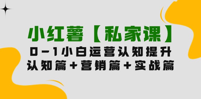 小红薯【私家课】0-1玩赚小红书内容营销，认知篇+营销篇+实战篇（11节课）-风向旗