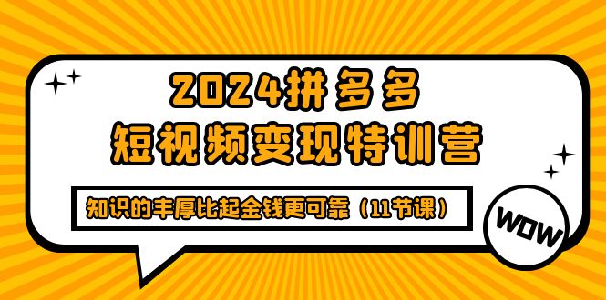 2024拼多多短视频变现特训营，知识的丰厚比起金钱更可靠（11节课）-风向旗