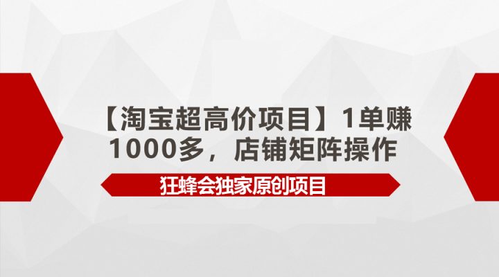 【淘宝超高价项目】1单赚1000多，店铺矩阵操作-风向旗