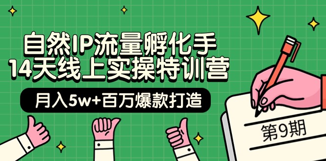 自然IP流量孵化手 14天线上实操特训营【第9期】月入5w+百万爆款打造 (74节)-风向旗