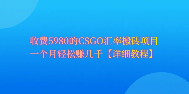 CSGO装备搬砖，月综合收益率高达60%，你也可以！-风向旗