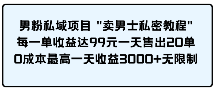 男粉私域项目 “卖男士私密教程” 每一单收益达99元一天售出20单-风向旗