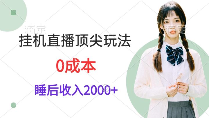 挂机直播顶尖玩法，睡后日收入2000+、0成本，视频教学-风向旗