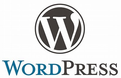 WordPress如何修复“您的网站出现严重”错误？-风向旗