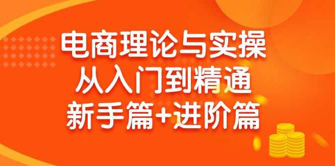 电商理论与实操从入门到精通：抖店+淘系+多多，新手篇+进阶篇-风向旗