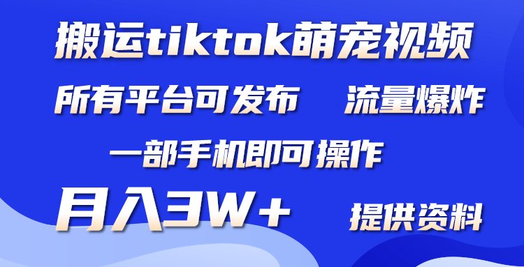 搬运Tiktok萌宠类视频，一部手机即可。所有短视频平台均可操作，月入3W+-风向旗