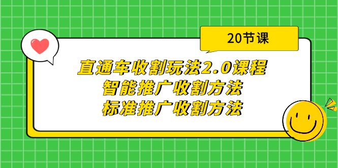 直通车收割玩法2.0课程：智能推广收割方法+标准推广收割方法（20节课）-风向旗