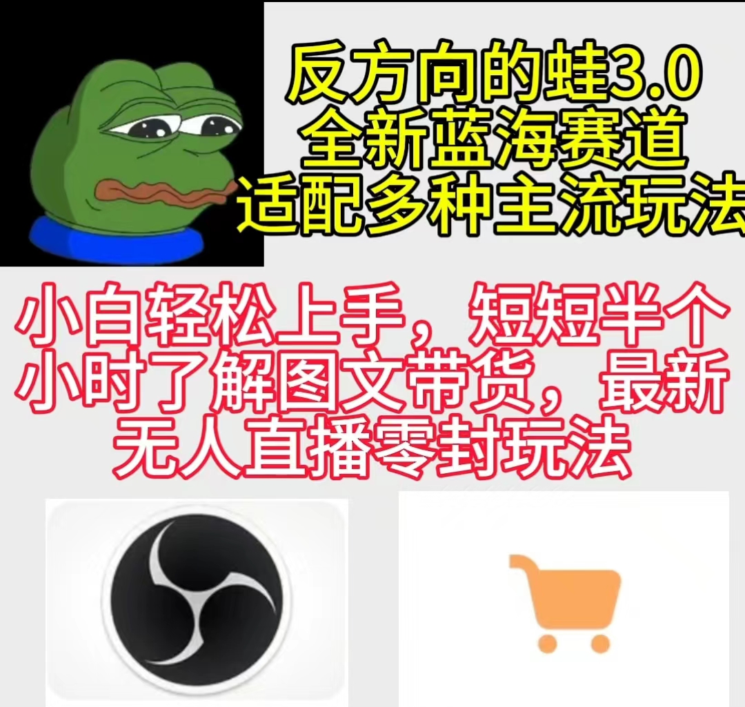 反方向的蛙3.0，图文最新玩法，变现多元化，新蓝海项目，小白轻松上手-风向旗