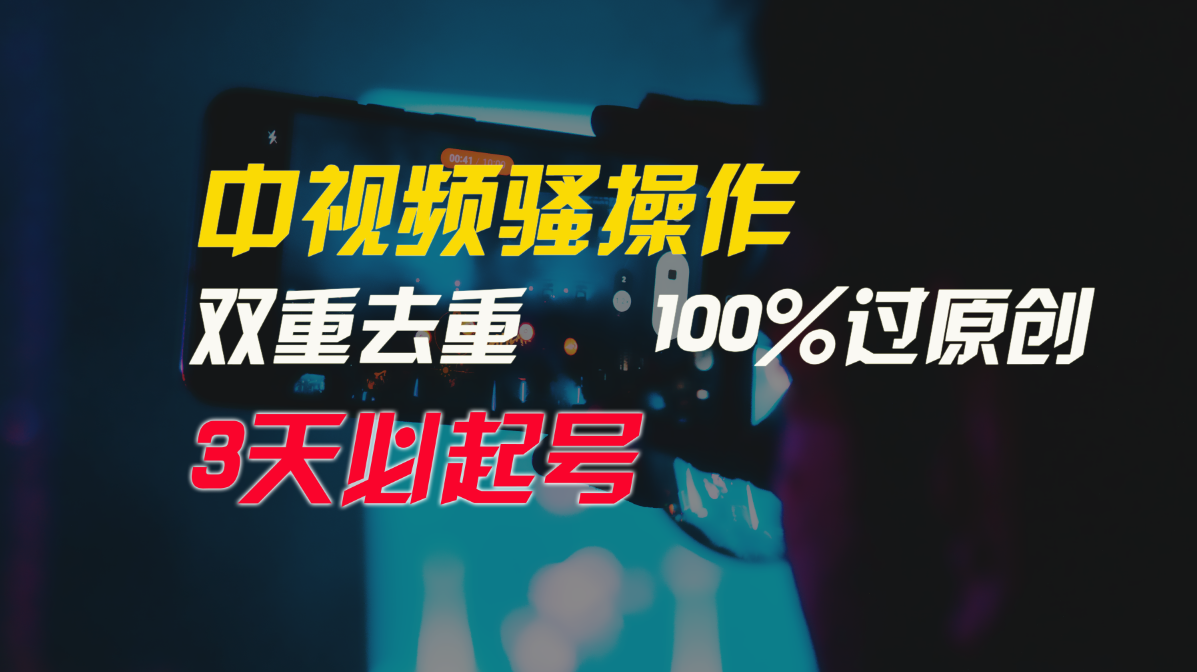 中视频骚操作，双重去重100%过原创，3天比必起号，简单无脑，月入3W+-风向旗