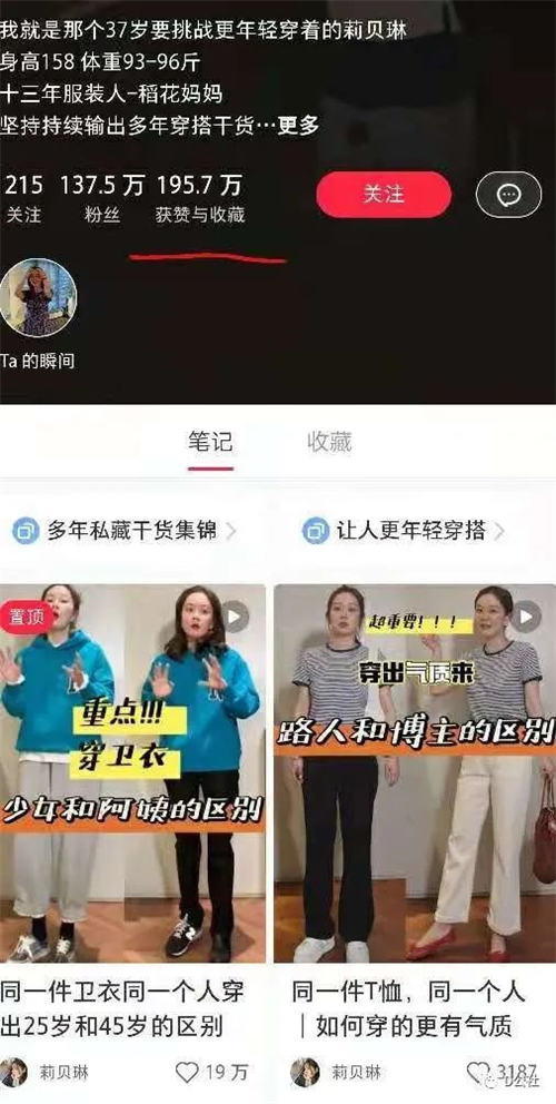 小红书自媒体流量变现项目介绍-风向旗