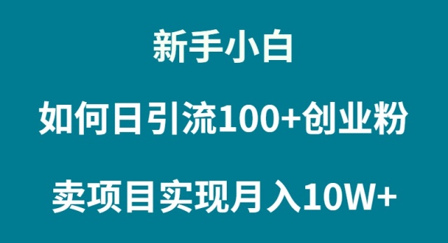 新手小白如何通过卖项目实现月入10W+-风向旗