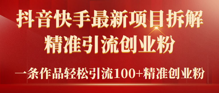 2024年抖音快手最新项目拆解视频引流创业粉，一天轻松引流精准创业粉100+-风向旗