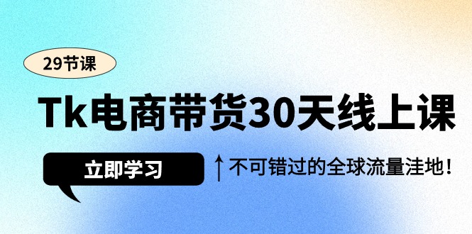 TikTok电商带货30天线上训练营，不可错过的全球流量洼地（29节课）-风向旗