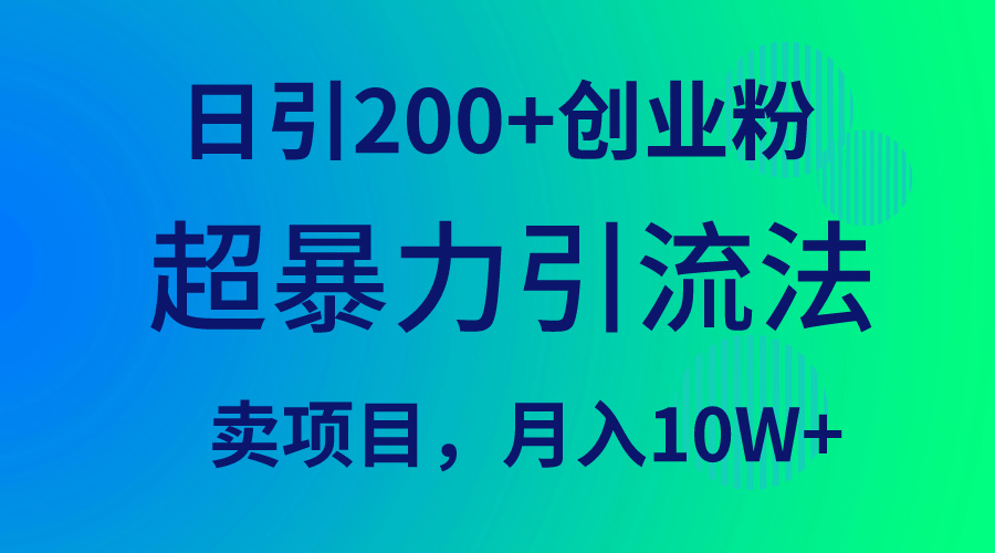 超暴力引流法，日引200+创业粉，卖项目月入10W+-风向旗