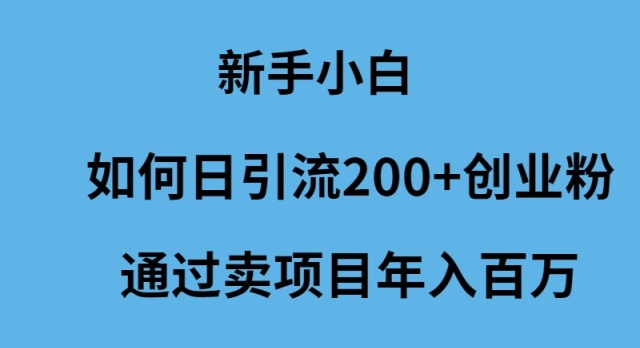 新手小白如何日引流200+创业粉通过卖项目年入百万-风向旗