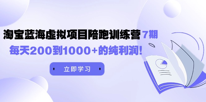 《淘宝蓝海虚拟项目陪跑训练营7期》每天200到1000+的纯利润-风向旗