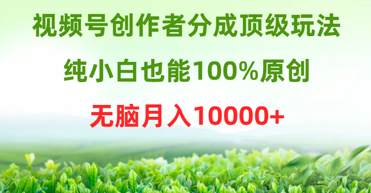 视频号创作者分成顶级玩法，纯小白也能100%原创，无脑月入10000+-风向旗